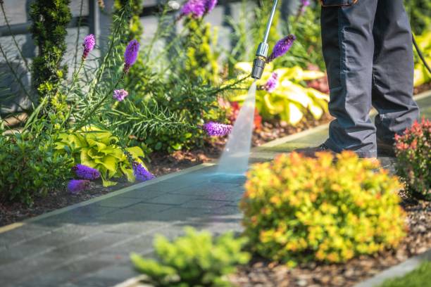 Best Restaurant Pressure Washing  in North Fork, CA